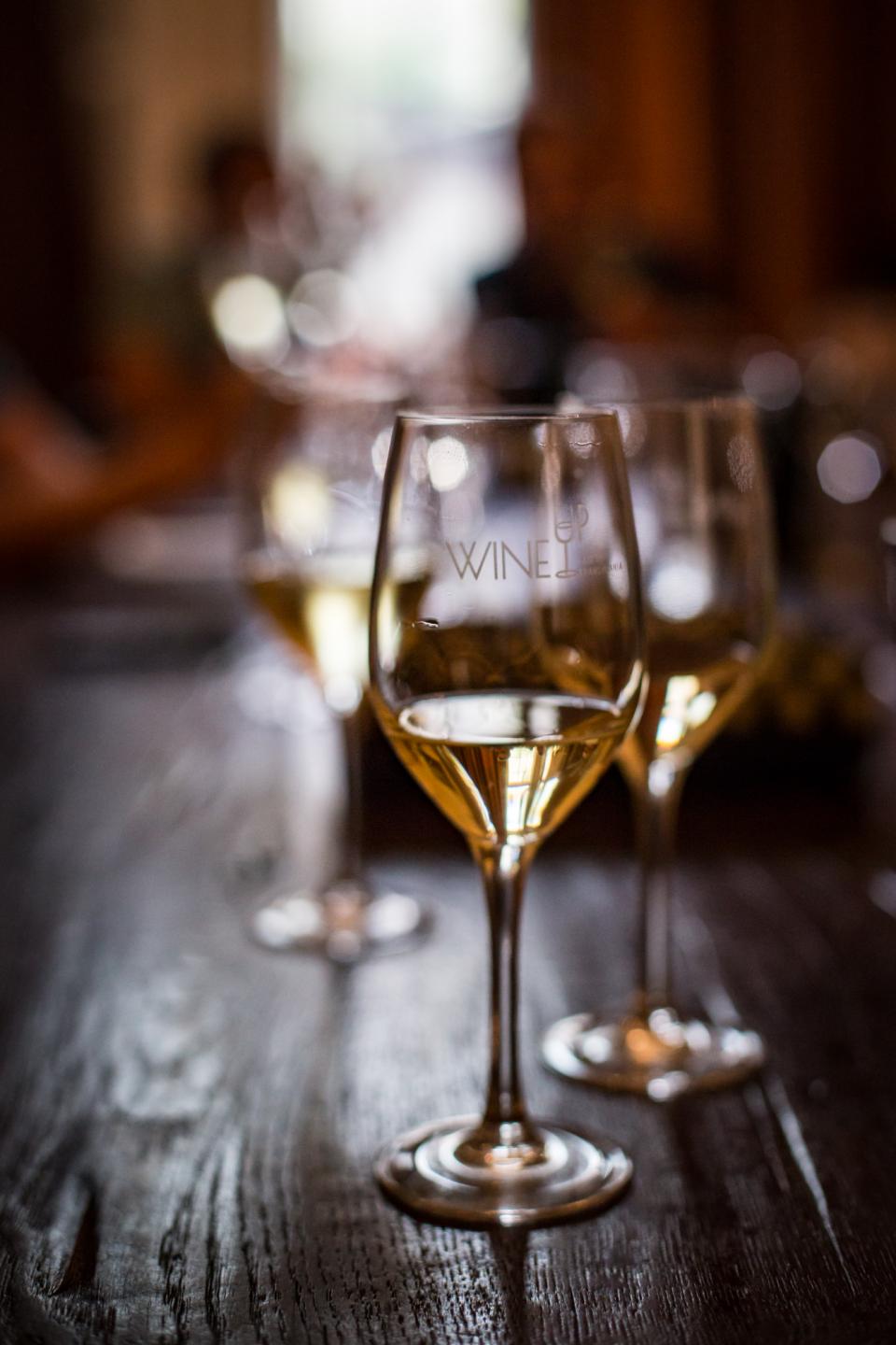 Wine tasting course - HoReCa only.