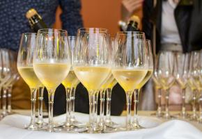 Raiffeisen VIP Party, TIFF 2016