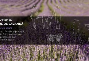 Weekend în lanul de lavandă