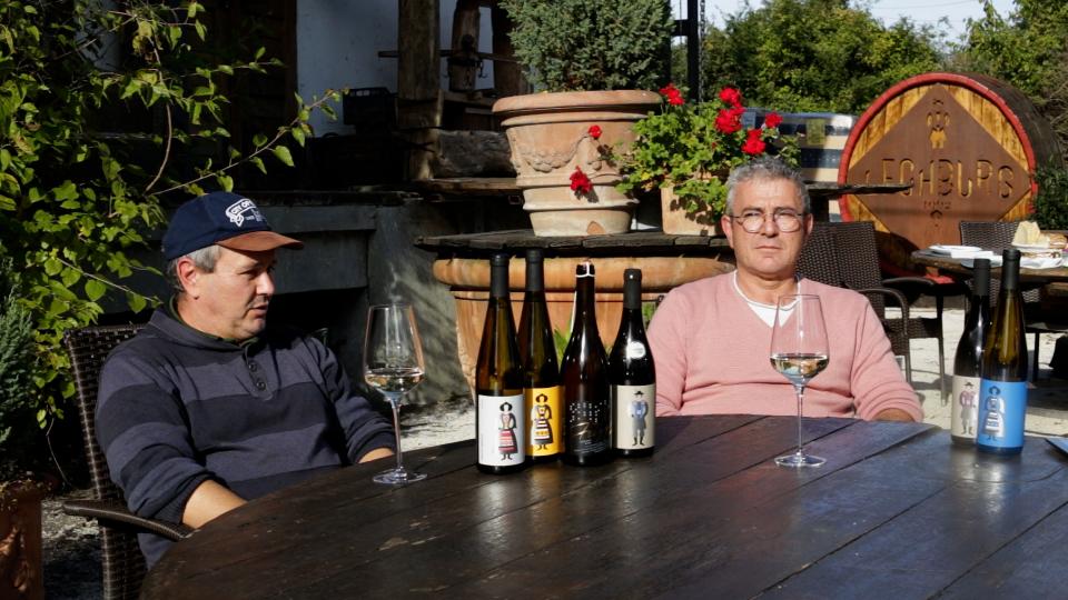 WineUp Talks: invitați Cristiano și Ettore Guarato