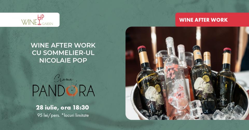 Wine After Work cu Nicolaie Pop