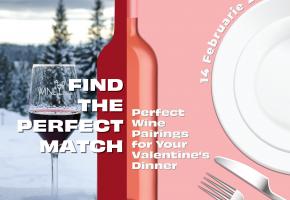 Find The Perfect Match