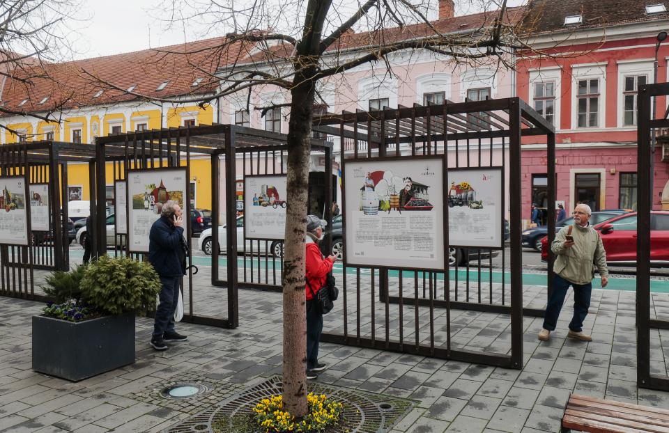 WineUp 2025 - O Călătorie prin Timp